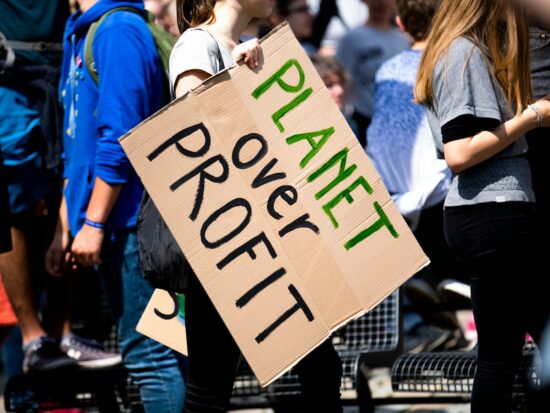 Fridays for future - global climate strike on the European elections (May 24 2019)