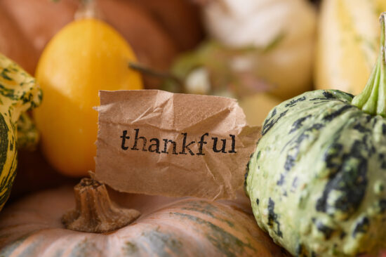 Pass the FLSA Sauce! 5 Employment Law Happenings That May Make You Thankful