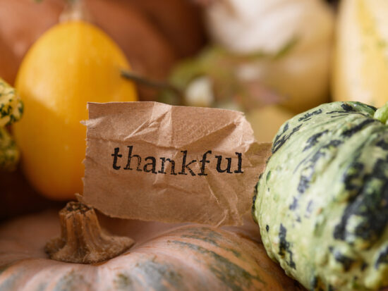 Pass the FLSA Sauce! 5 Employment Law Happenings That May Make You Thankful